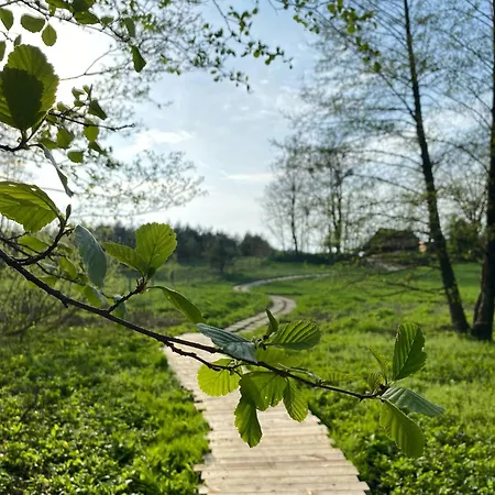 Akacjowa Ostoja Rybno (Dzialdowo)